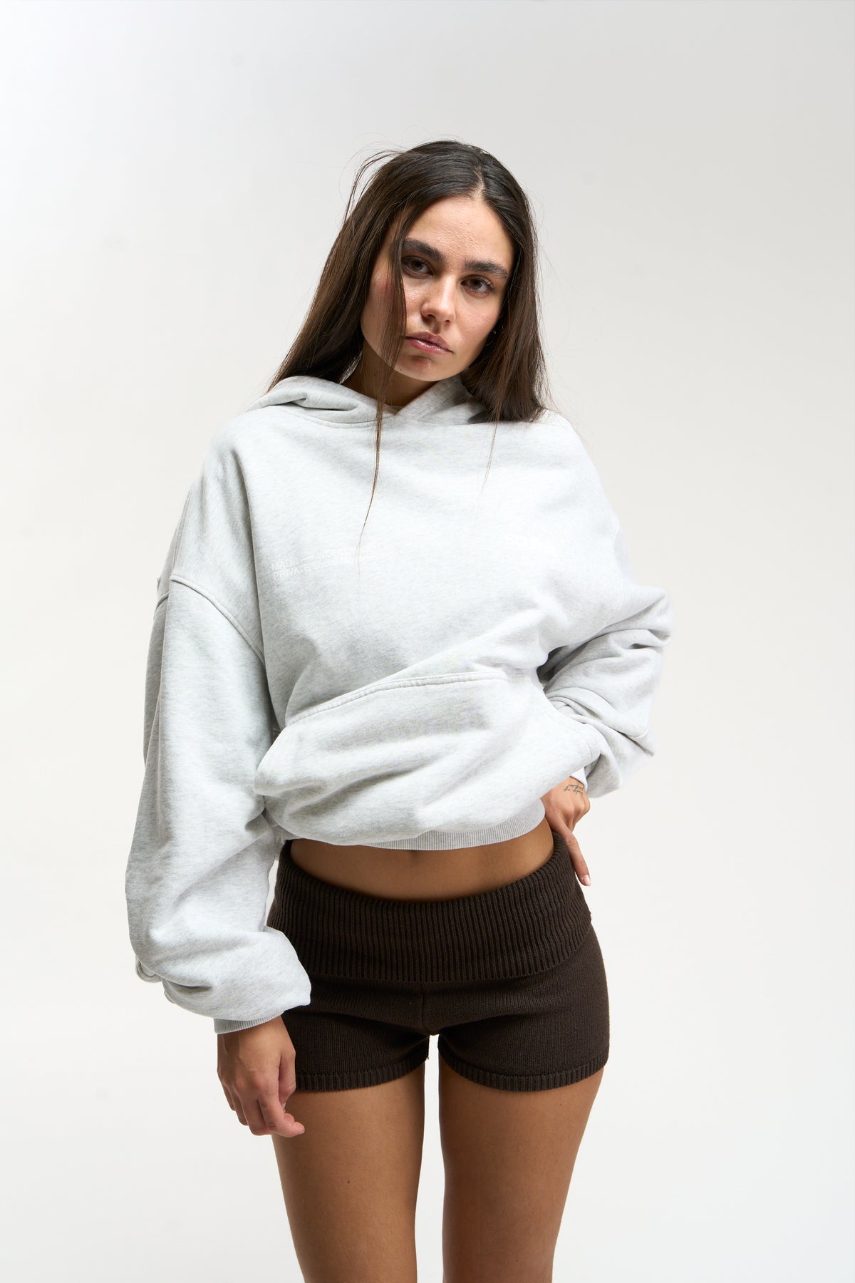 Worldwide Grey Melange Hoodie