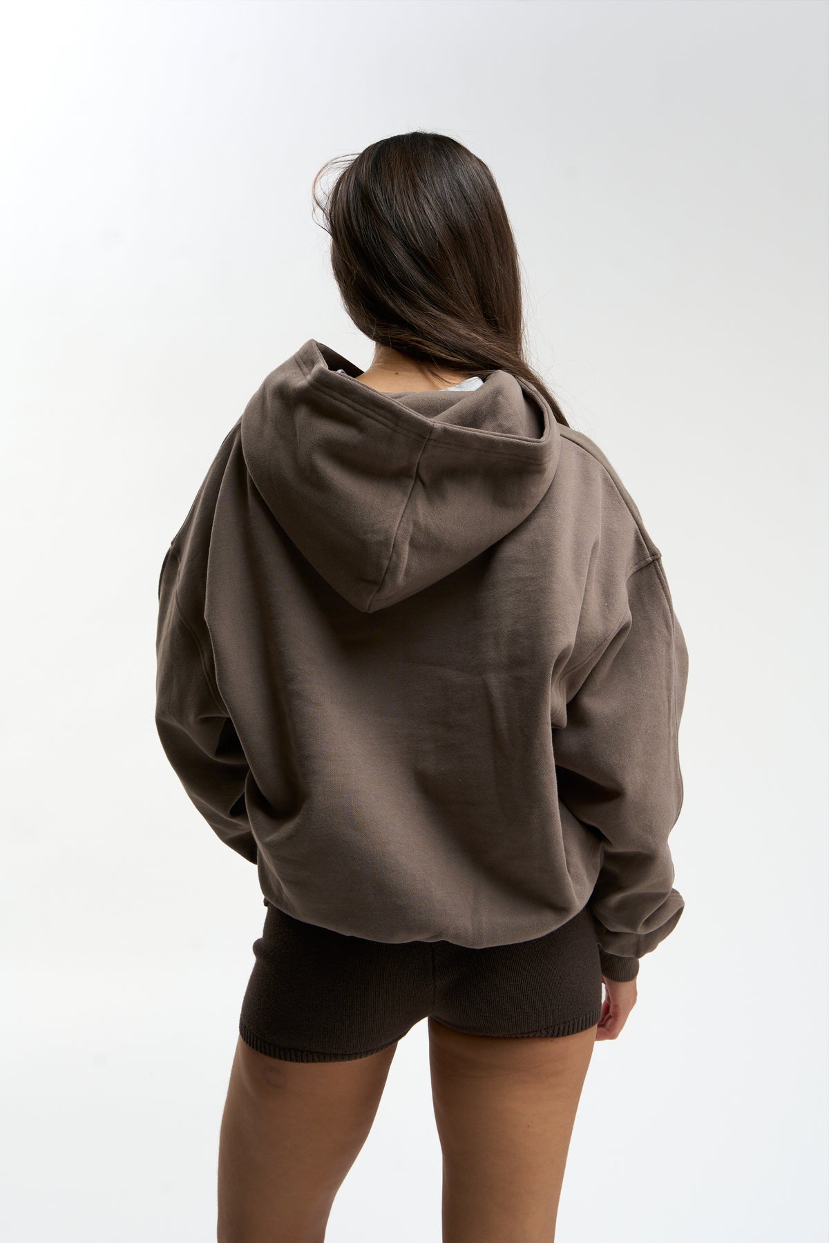 Flock Brown Hoodie
